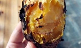 小咬是什么虫子