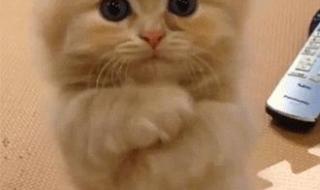 为什么好玩不过孕妇