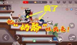 猫和老鼠消失的22集