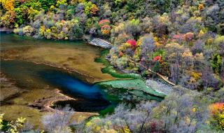 云上的宝石大结局