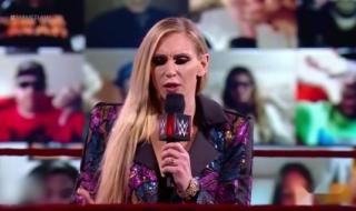 WWE2013年2月 WWE2013年2月