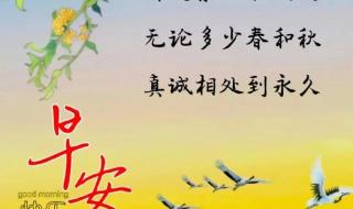 珍惜每一天 珍惜每一天