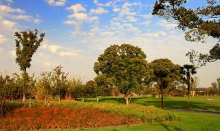 昆山花桥国际商务城 昆山花桥国际商务城