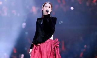 杨丞琳的演唱会 杨丞琳的演唱会