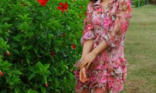 江一燕演过的电视剧