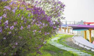 哈尔滨全面解封时间