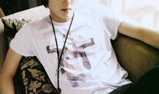 一枝梅归来国语版