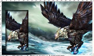 联盟之喙艾尼维亚