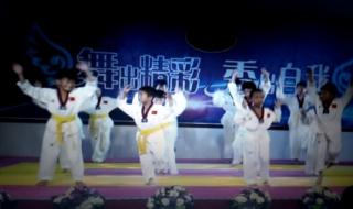 跆拳道太极一章