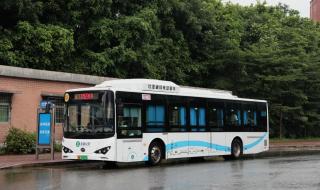 石岩什么时候解封