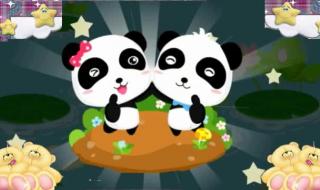 字宝宝乐园动画片