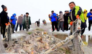 博斯腾湖位于哪个县